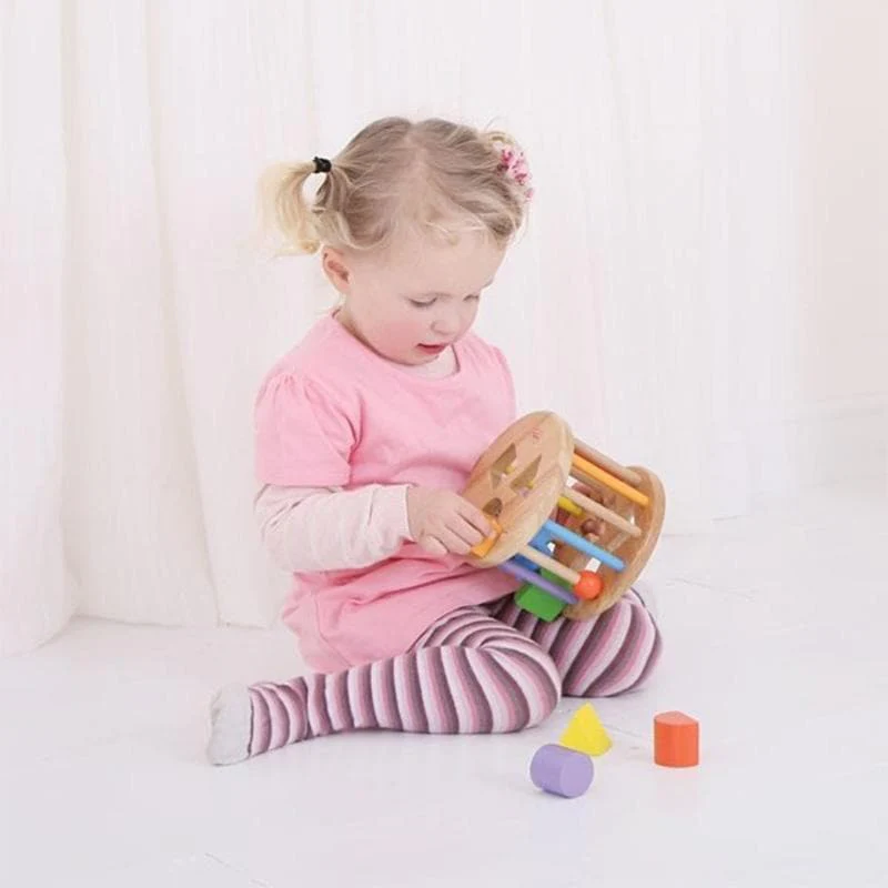 First Rolling Shape Sorter - Image 5